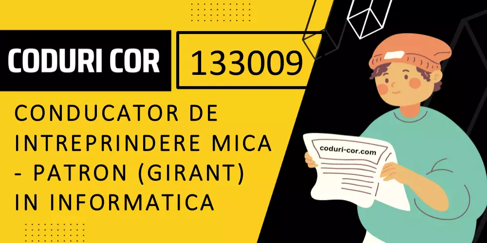 Cod COR conducator de intreprindere mica - patron (girant) in informatica