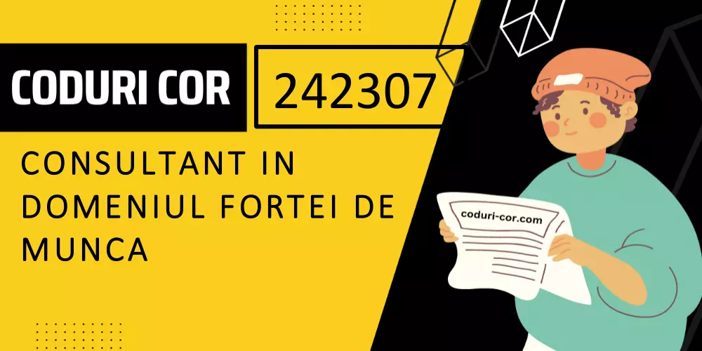 Cod COR consultant in domeniul fortei de munca